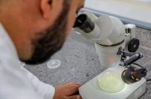Pesquisas em saúde e em meio ambiente recebem R$ 23 milhões