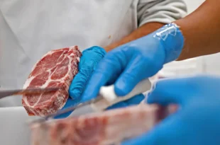 China abre investigação sobre importação de carne bovina